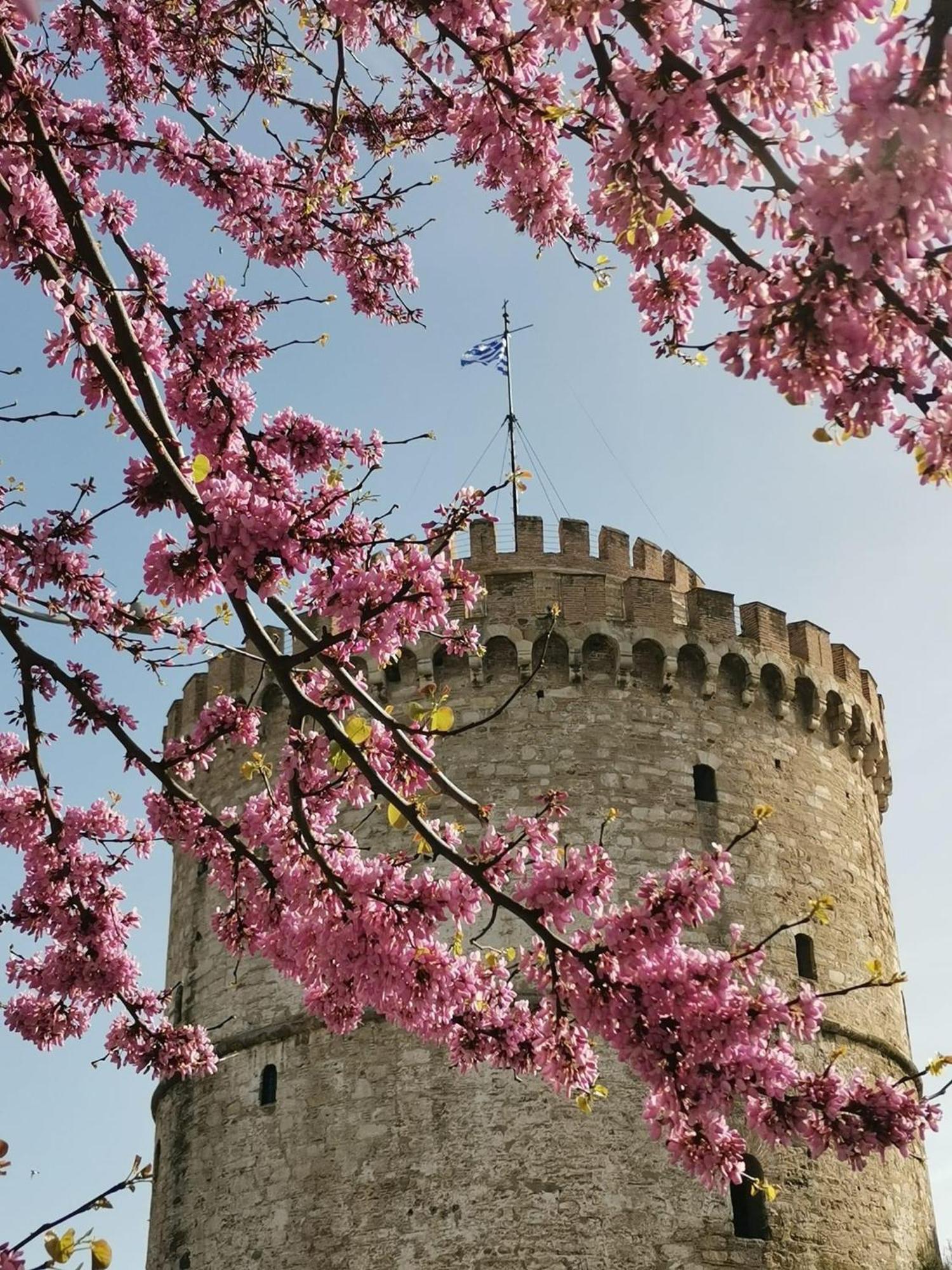 55 Egnatia Lägenhet Thessaloníki Exteriör bild